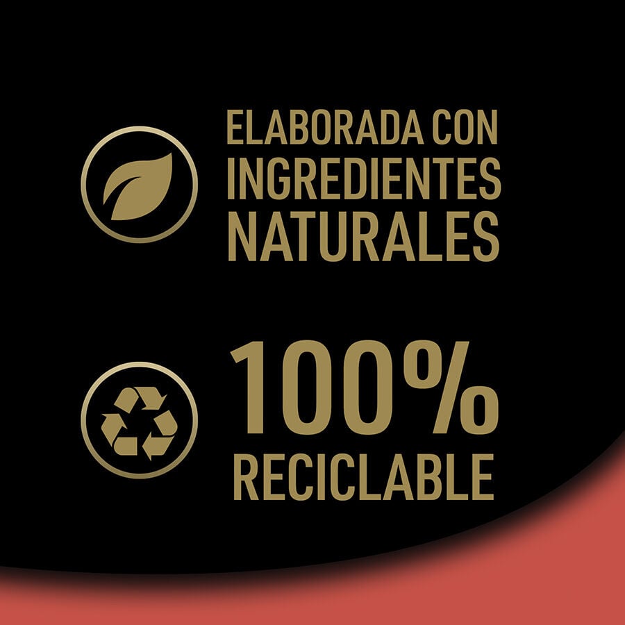8 tarrinas x 150 g Cesar Selecci&oacute;n Clasicos Tarrina en Pat&eacute; para Perros , , large Imagen numero 6